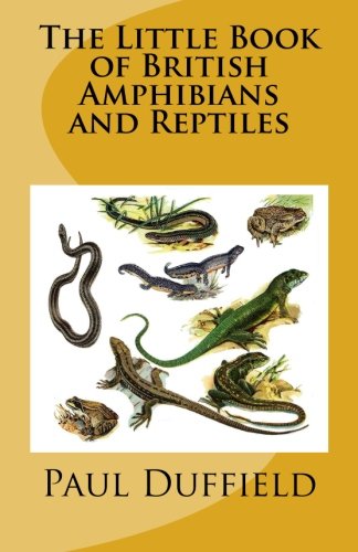 Imagen de archivo de The Little Book of British Amphibians and Reptiles a la venta por Revaluation Books