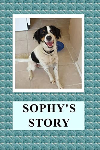 9781492708377: Sophy's Story: Volume 1 (Sophy Books)