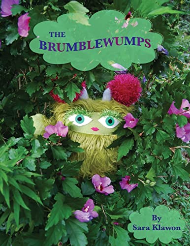 9781492713890: The Brumblewumps