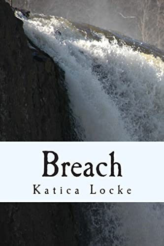 Stock image for Breach for sale by THE SAINT BOOKSTORE