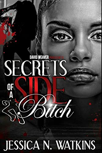 9781492747895: Secrets of a Side Bitch