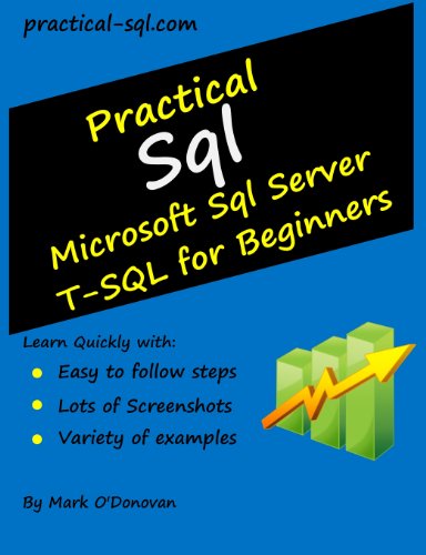 9781492753407: Practical Sql: Microsoft Sql Server T-SQL for Beginners