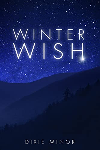 Stock image for Winter Wish for sale by SecondSale