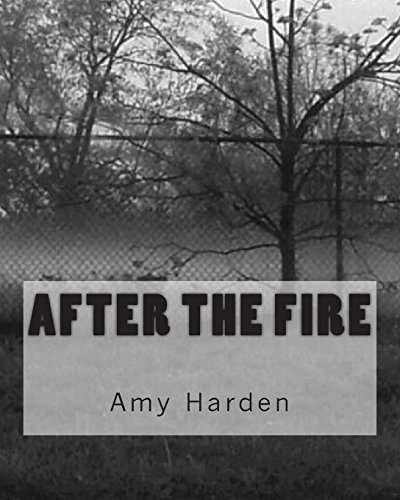 Beispielbild fr After the Fire zum Verkauf von Revaluation Books