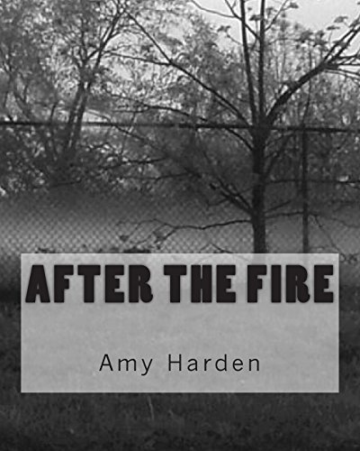 Stock image for After the Fire for sale by Revaluation Books