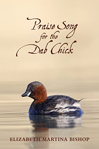 Beispielbild fr Praise Song for a Dab Chick zum Verkauf von Wonder Book