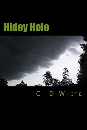 Stock image for Hidey Hole: Volume 1 for sale by Reuseabook