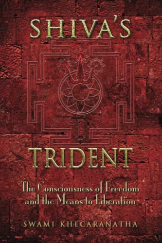 Beispielbild fr Shiva's Trident: The Consciousness of Freedom and the Means to Liberation zum Verkauf von ThriftBooks-Atlanta