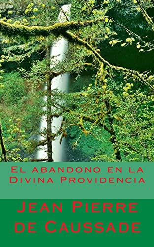 Stock image for El abandono en la Divina Providencia (Spanish Edition) for sale by savehere619