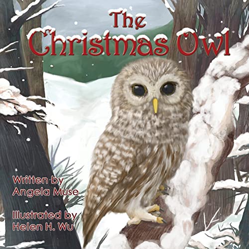 Imagen de archivo de The Christmas Owl a la venta por ZBK Books