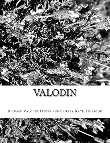 Stock image for Valodin for sale by THE SAINT BOOKSTORE