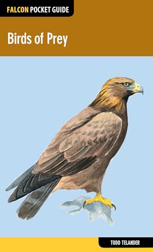 Stock image for Birds of Prey for sale by Better World Books