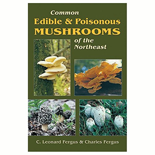 9781493008032: Basic Illustrated Edible and Medicinal Mushrooms (Basic Illustrated Series) [Idioma Ingls]
