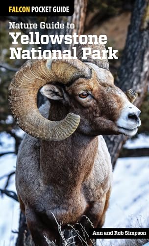 Stock image for Nature Guide to Yellowstone National Park (Nature Guides to National Parks Series) for sale by SecondSale