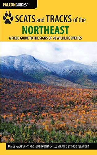 Stock image for Scats and Tracks of the Northeast: A Field Guide to the Signs of 70 Wildlife Species (Scats and Tracks Series) for sale by Lakeside Books