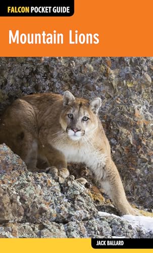 9781493012558: Mountain Lions (Falcon Pocket Guides)