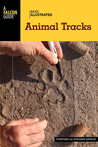Stock image for Basic Illustrated Animal Tracks (Basic Illustrated Series) for sale by SecondSale