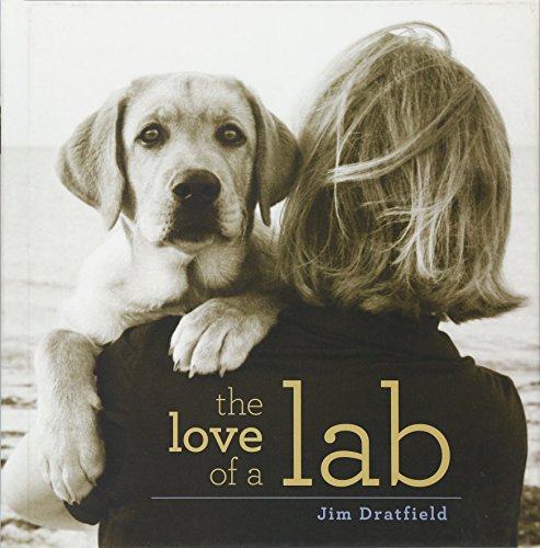 Stock image for The Love of a Lab for sale by Goodwill of Colorado