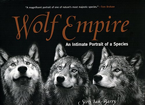 Stock image for Wolf Empire: An Intimate Portrait of a Species for sale by SecondSale