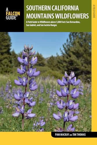 Stock image for Southern California Mountains Wildflowers: A Field Guide to Wildflowers above 5,000 Feet: San Bernardino, San Gabriel, and San Jacinto Ranges (Wildflower Series) for sale by GF Books, Inc.