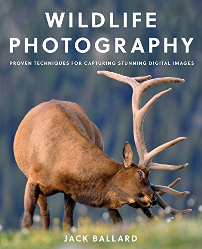 

Wildlife Photography: Proven Techniques for Capturing Stunning Digital Images [Soft Cover ]