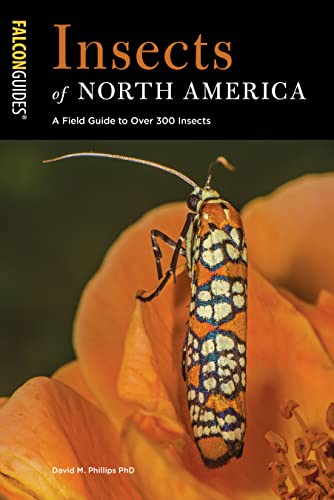 

Insects of North America: A Field Guide to Over 300 Insects (Falcon Guides)