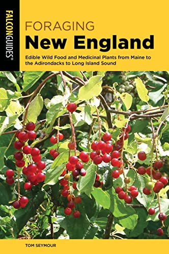 9781493042371: Foraging New England: Edible Wild Food and Medicinal Plants from Maine to the Adirondacks to Long Island Sound (Foraging Series)