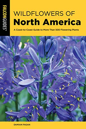 9781493057818: Wildflowers of North America: A Coast-to-Coast Guide to More than 500 Flowering Plants
