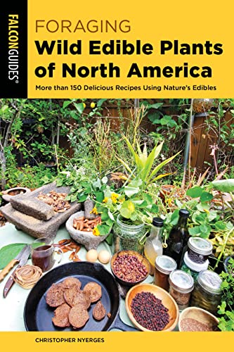 Stock image for Foraging Wild Edible Plants of North America: More than 150 Delicious Recipes Using Nature's Edibles (Foraging Series) for sale by Michael Lyons