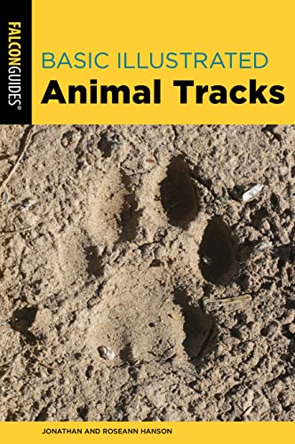 Stock image for Basic Illustrated Animal Tracks (Falcon Guides) for sale by Michael Lyons