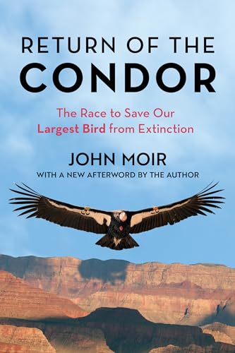 Stock image for Return of the Condor: The Race to Save Our Largest Bird from Extinction for sale by Blue Vase Books