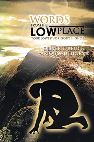 Imagen de archivo de Words From the Low Place: Your Lowest for God's Highest a la venta por Lucky's Textbooks