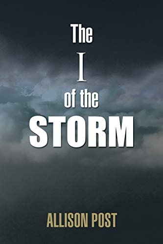 Beispielbild fr The I of the Storm zum Verkauf von Lucky's Textbooks