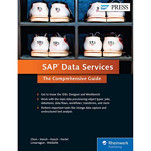 9781493211678: Sap Data Services: The Comprehensive Guide