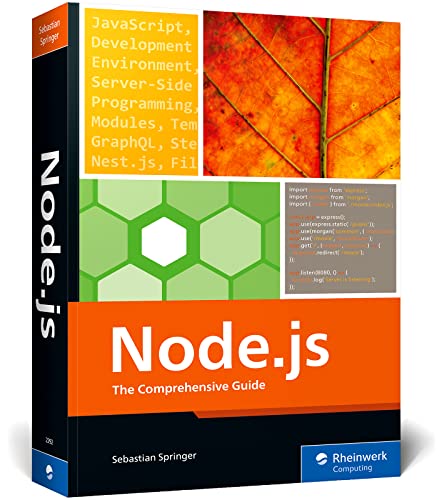 9781493222926: Node.js: The Comprehensive Guide (Rheinwerk Computing)
