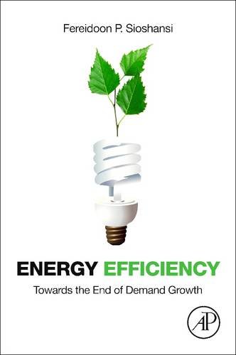 9781493301331: Energy Efficiency: Towards the End of Demand Growth
