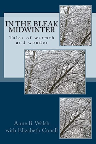 Beispielbild fr In the Bleak Midwinter: Tales of warmth and wonder (Holidays with Anne) zum Verkauf von Lucky's Textbooks