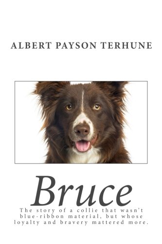 Stock image for Bruce for sale by SecondSale