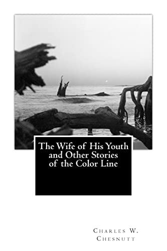 Beispielbild fr The Wife of His Youth and Other Stories of the Color Line zum Verkauf von ALLBOOKS1