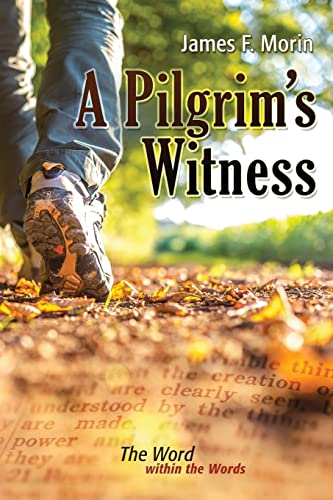 Stock image for A Pilgrim's Witness: The Word within the Words for sale by Irish Booksellers