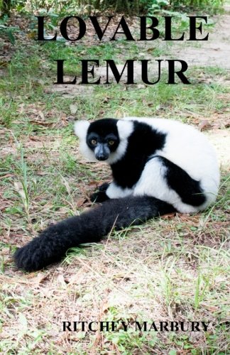 Beispielbild fr Lovable Lemur zum Verkauf von Revaluation Books