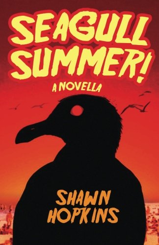 9781493756865: Seagull Summer: A Novella