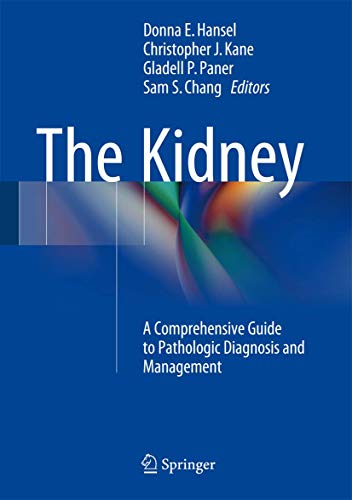 Stock image for The Kidney. A Comprehensive Guide to Pathologic Diagnosis and Management. for sale by Antiquariat im Hufelandhaus GmbH  vormals Lange & Springer