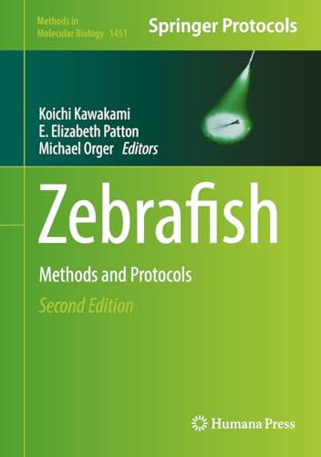 Stock image for Zebrafish Methods and Protocols Methods in Molecular Biology, 1451 for sale by PBShop.store US
