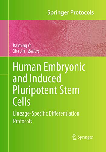 Stock image for Human Embryonic and Induced Pluripotent Stem Cells: Lineage-Specific Differentiation Protocols (Springer Protocols Handbooks) for sale by Lucky's Textbooks