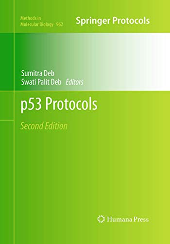 9781493959334: p53 Protocols: 962 (Methods in Molecular Biology, 962)
