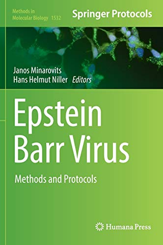 9781493966530: Epstein Barr Virus: Methods and Protocols: 1532 (Methods in Molecular Biology)