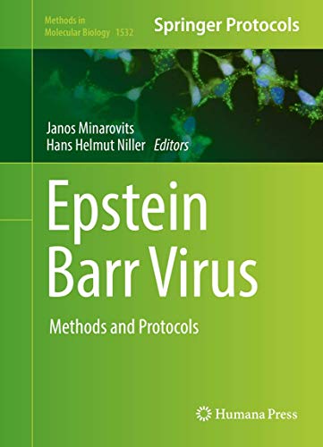 9781493966530: Epstein Barr Virus: Methods and Protocols