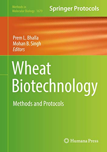 9781493973354: Wheat Biotechnology: Methods and Protocols: 1679 (Methods in Molecular Biology)