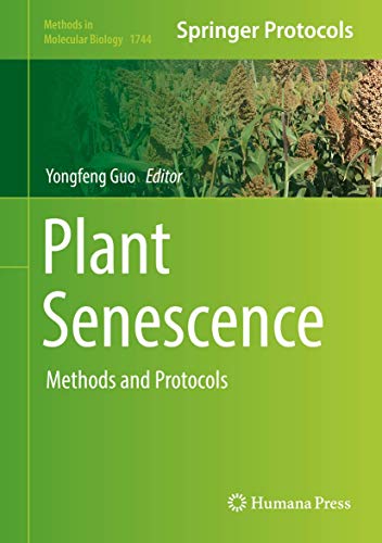 Stock image for Plant Senescence. Methods and Protocols for sale by Antiquariat im Hufelandhaus GmbH  vormals Lange & Springer